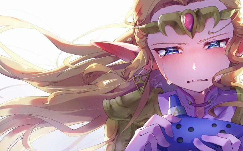 Princess Zelda (Nintendo) Rule 34 Image