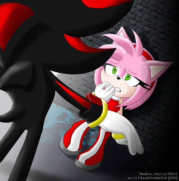 Amy Rose (Sega) Rule 34 Image