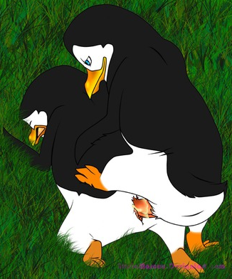 Kowalski (Madagascar (Series)) Rule 34 Image
