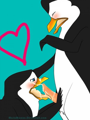 Kowalski (Madagascar (Series)) Rule 34 Image