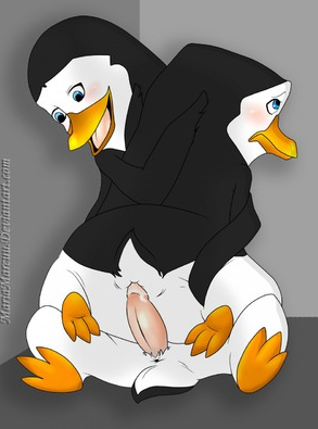 Kowalski (Madagascar (Series)) Rule 34 Image