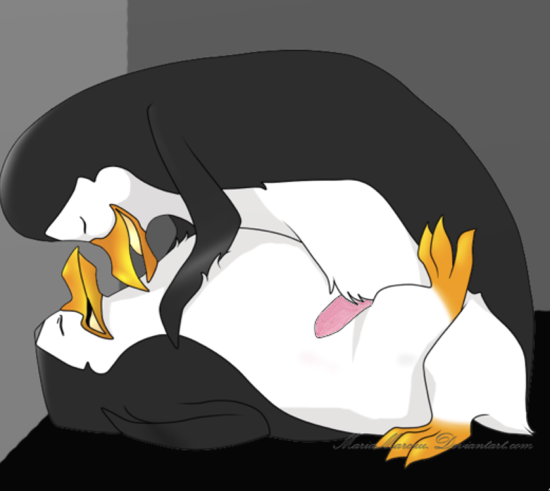 Kowalski (Madagascar (Series)) Rule 34 Image