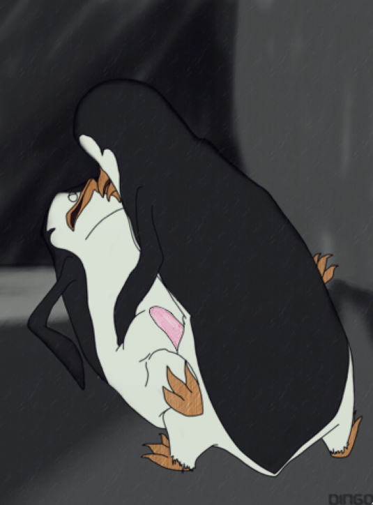 Kowalski (Madagascar (Series)) Rule 34 Image