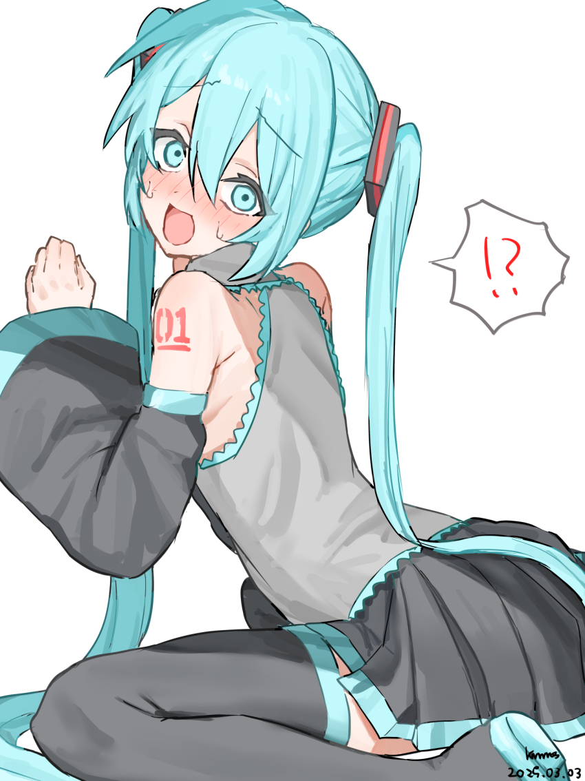 Hatsune Miku (Vocaloid) Rule 34 Image