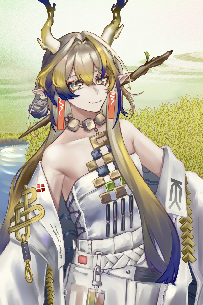 Shu (Arknights) Rule 34 Image
