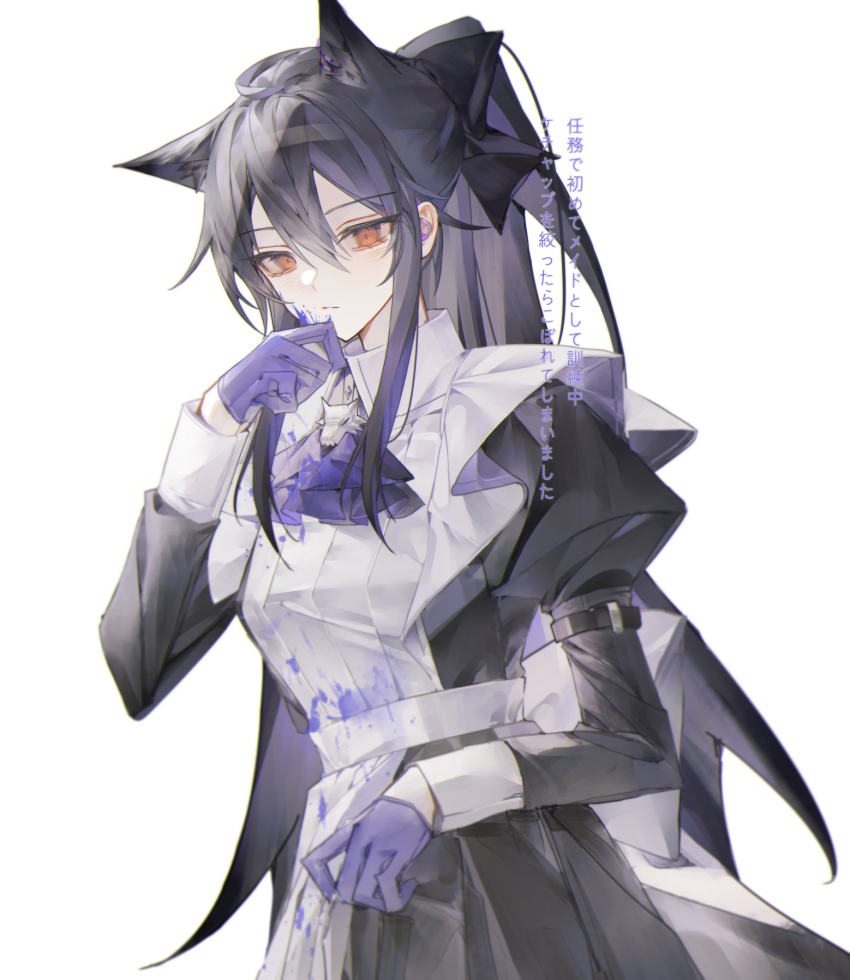Texas (Arknights) Rule 34 Image