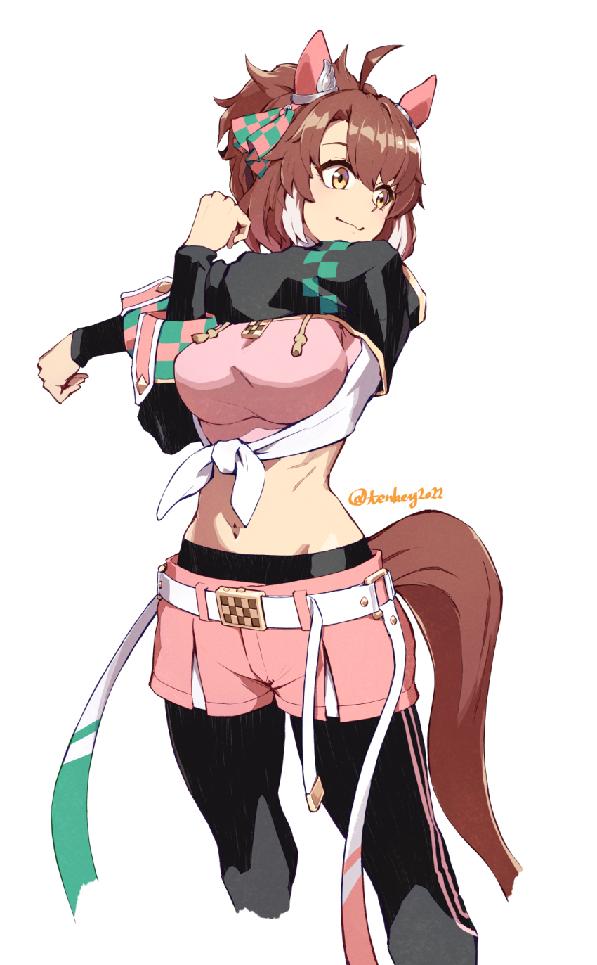 Dantsu Flame (Center Spotlight) (Umamusume) Rule 34 Image