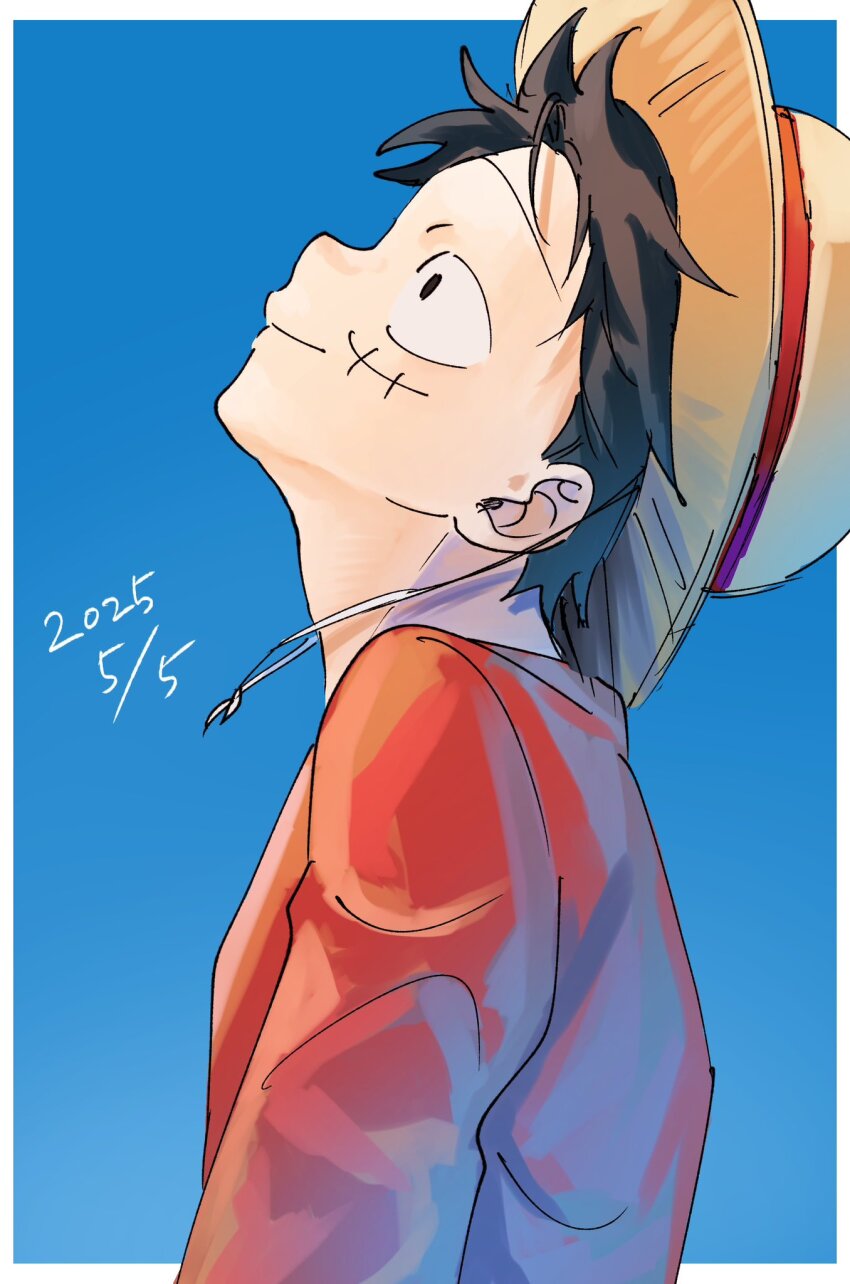 Monkey D. Luffy Rule 34 Image