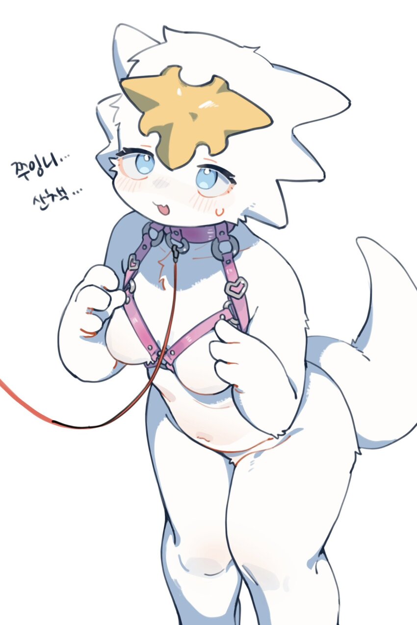 Dragon Village Collection Rule 34 Image