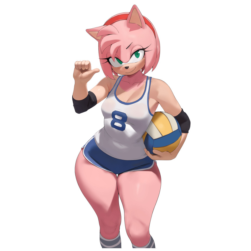 Amy Rose (Sonic (Series)) Rule 34 Image
