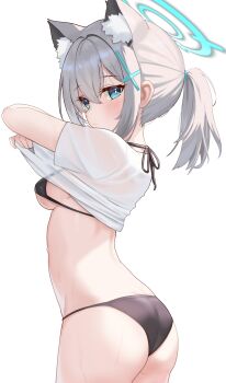Shiroko (Blue Archive) Rule 34 Image