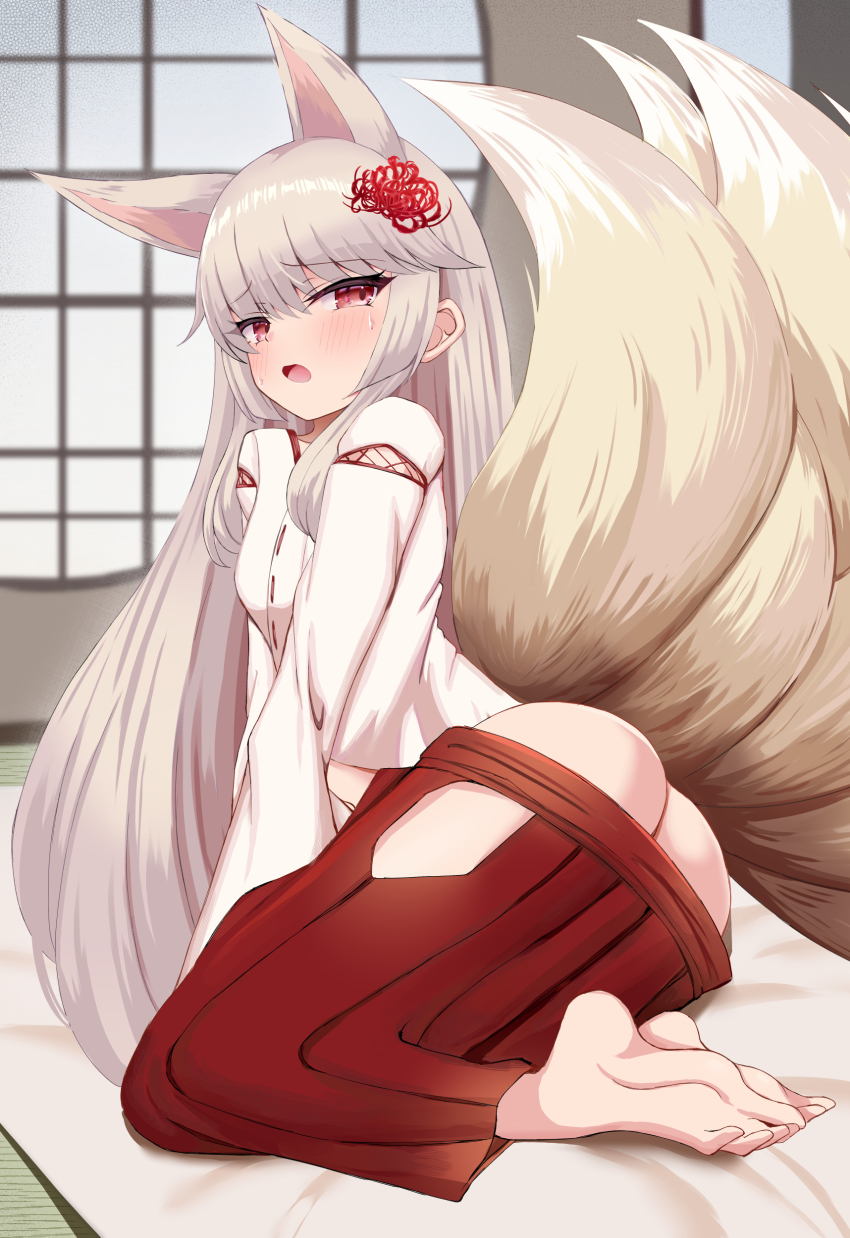 Higanbana (Flower Knight Girl) Rule 34 Image