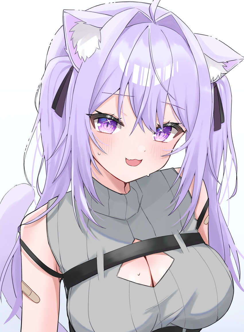 Nekomata Okayu (Hololive) Rule 34 Image