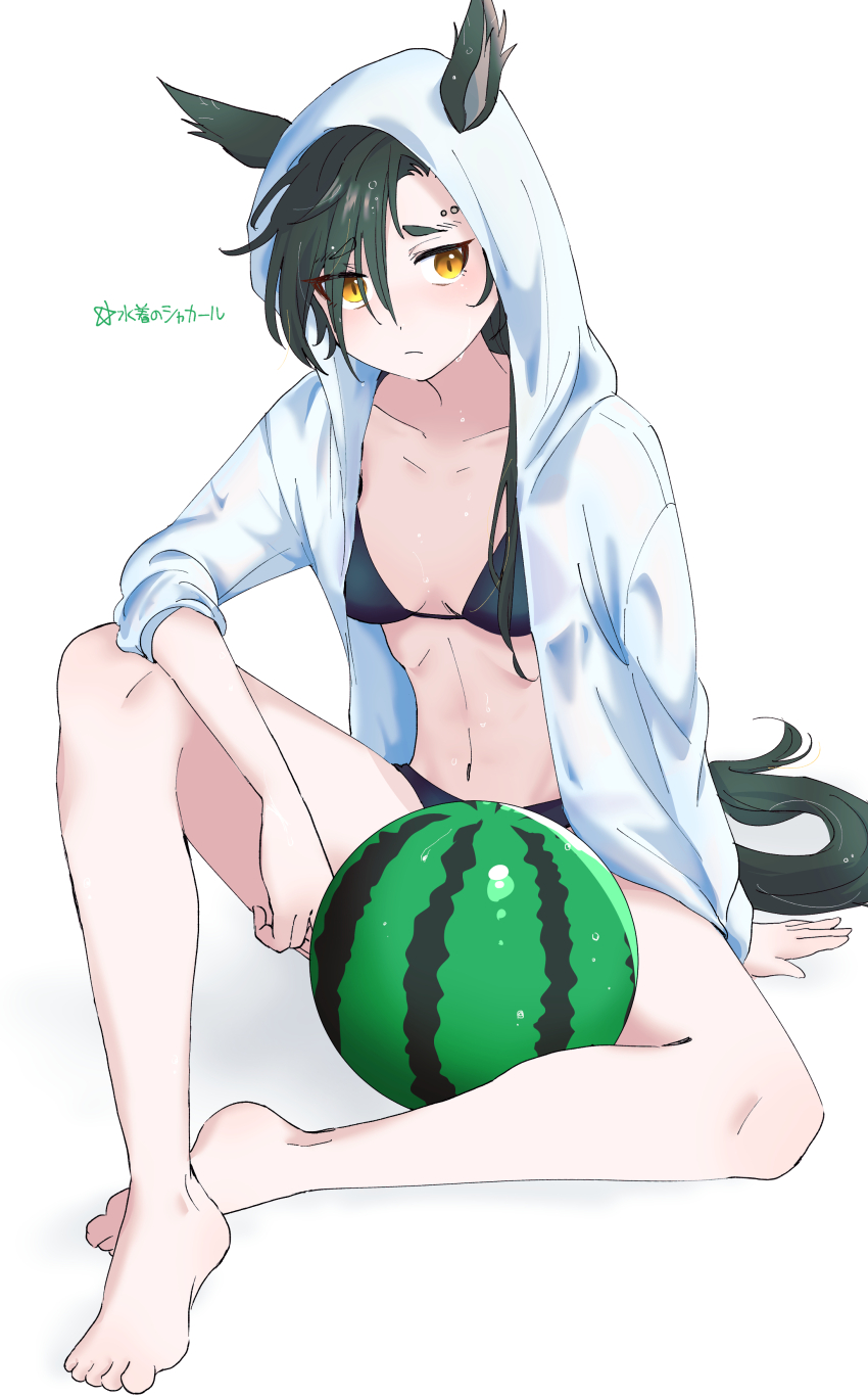 Air Shakur (Umamusume) Rule 34 Image