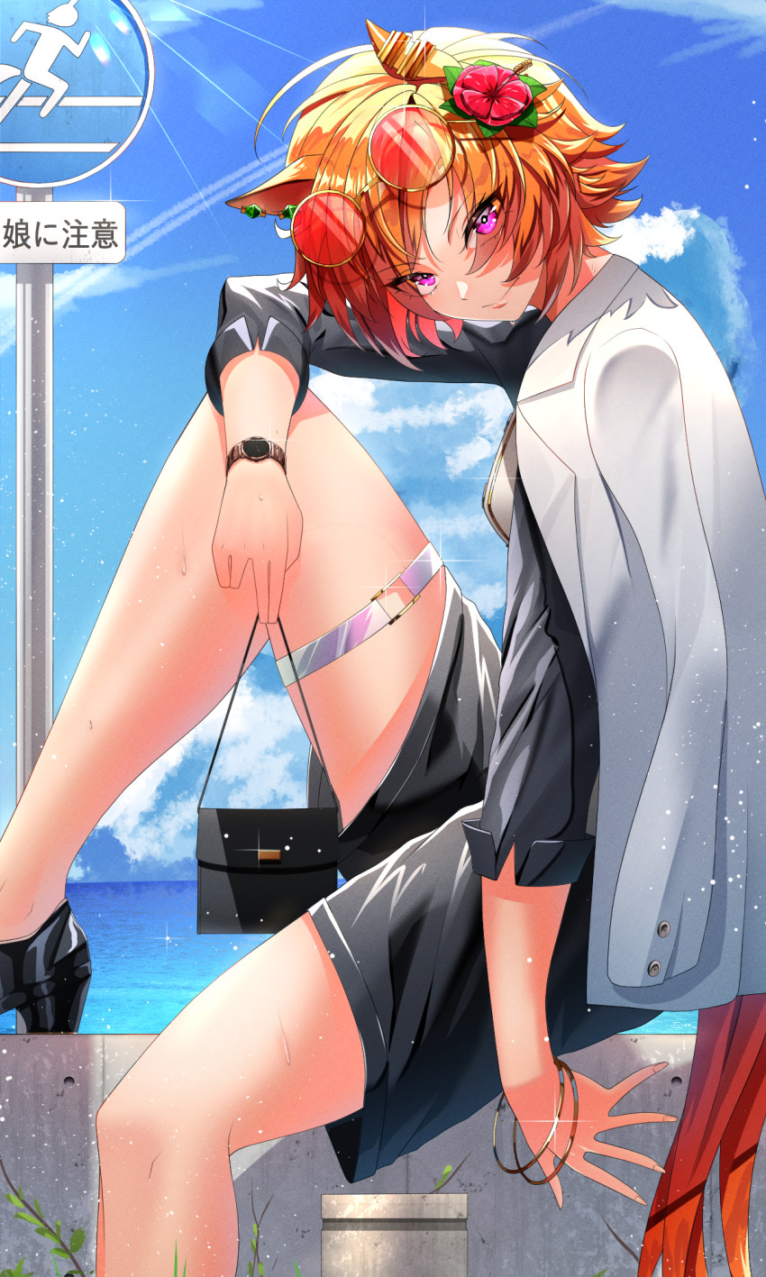 T.M. Opera O (Umamusume) Rule 34 Image