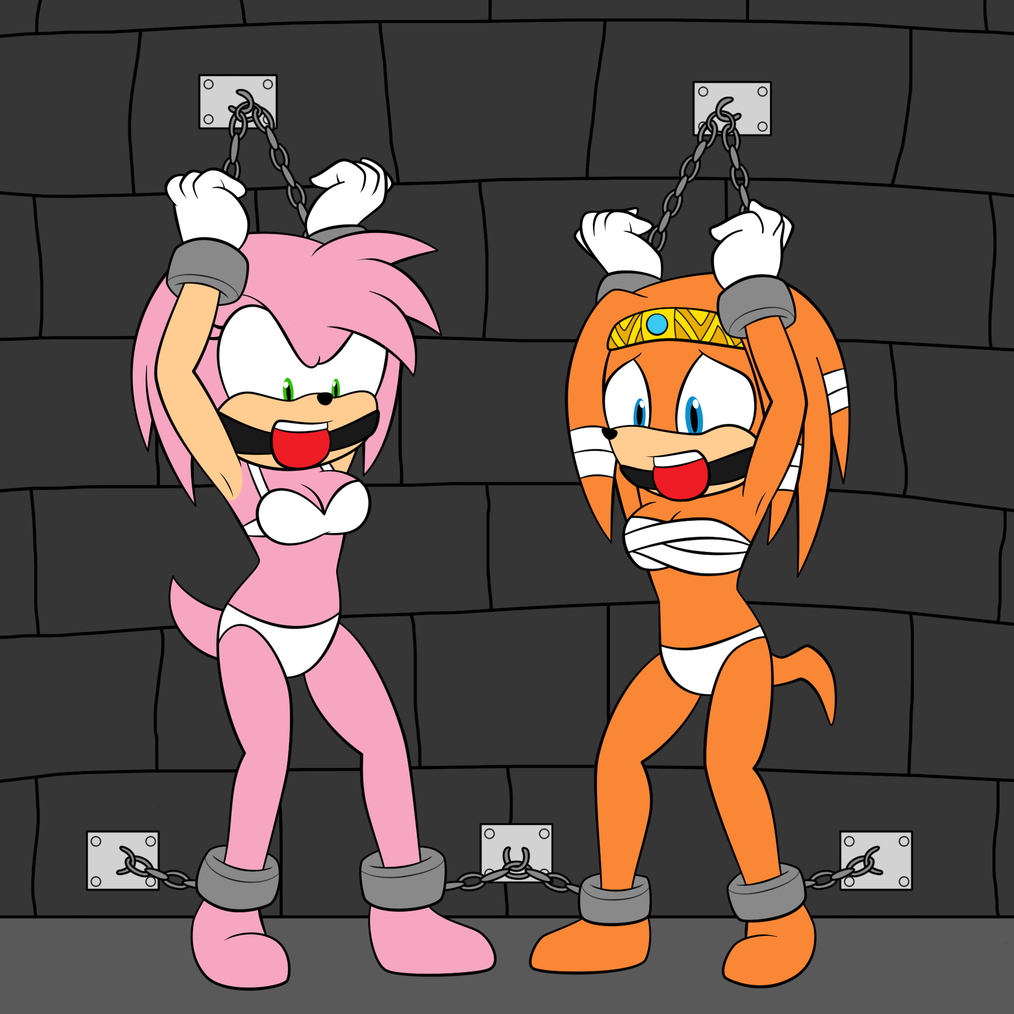 Amy Rose (Sega) Rule 34 Image