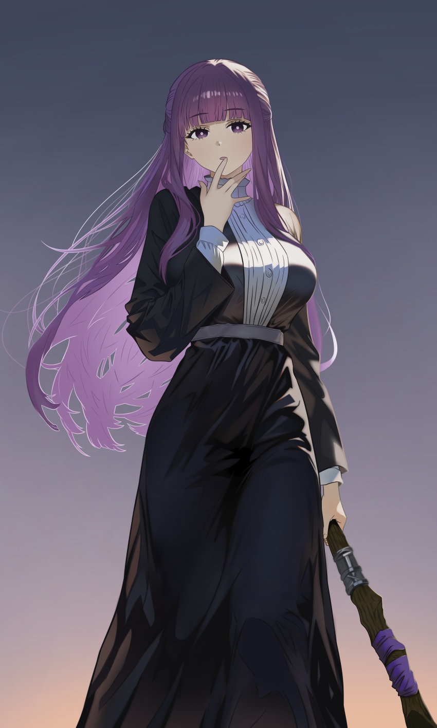 Fern (Sousou No Frieren) Rule 34 Image