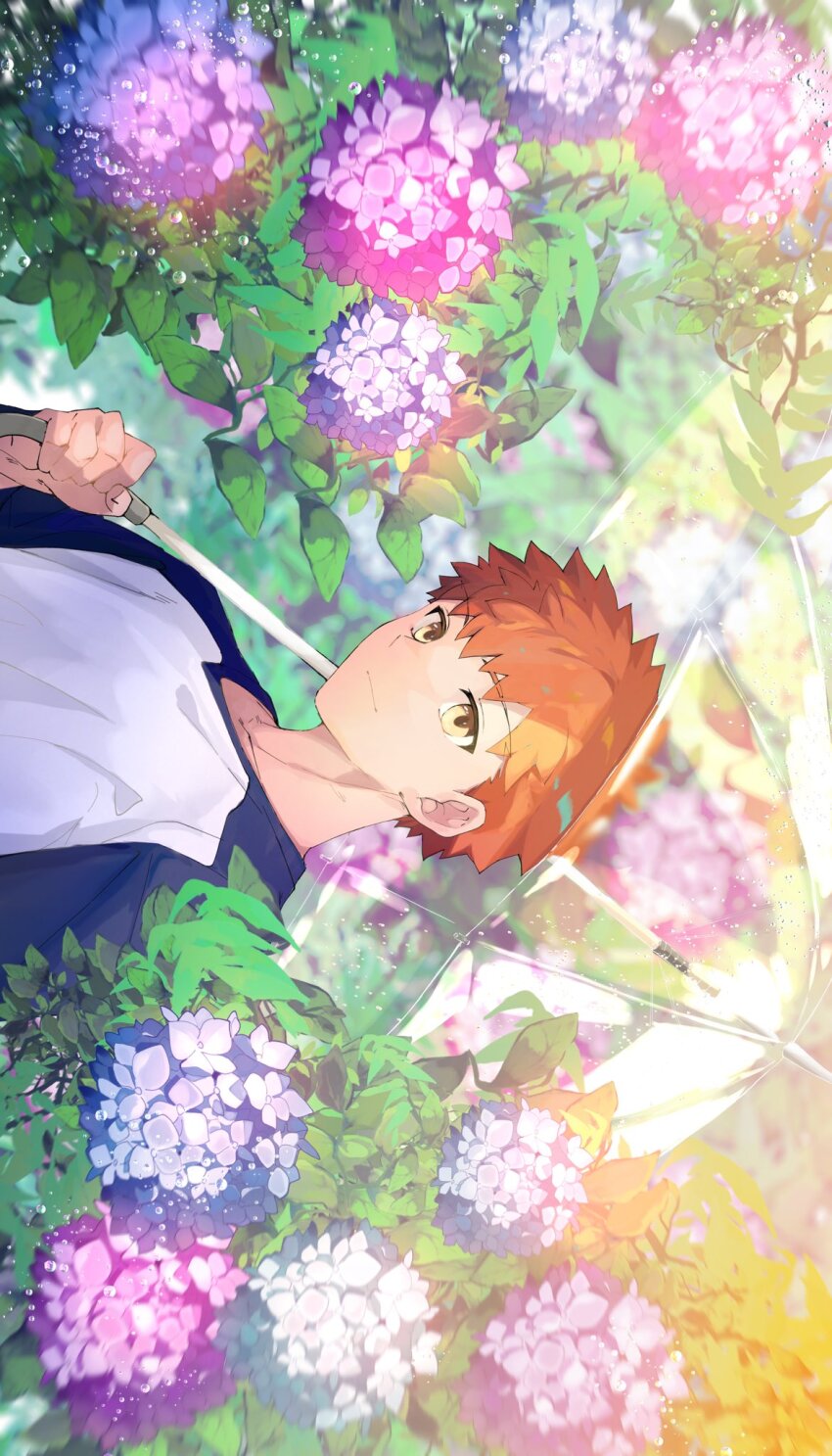 Emiya Shirou (Fate/Stay Night) Rule 34 Image