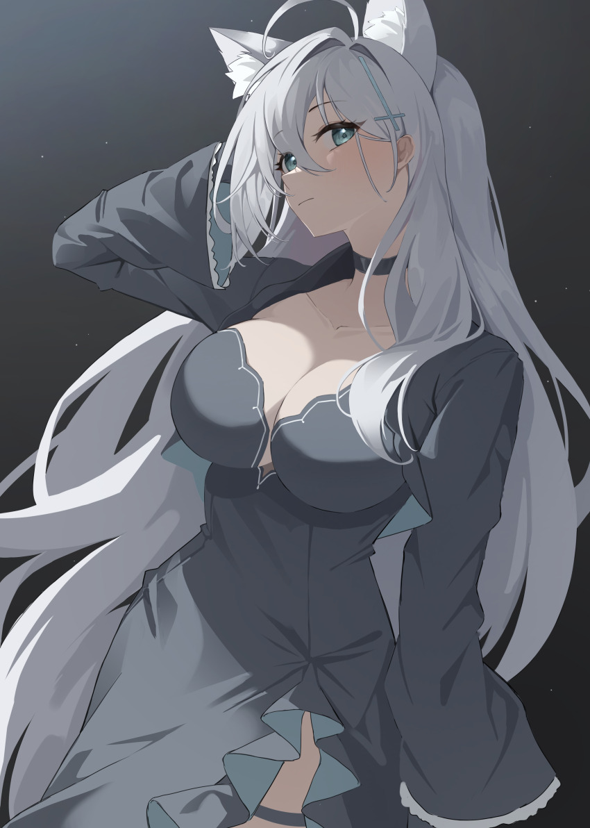 Shiroko Terror (Blue Archive) Rule 34 Image