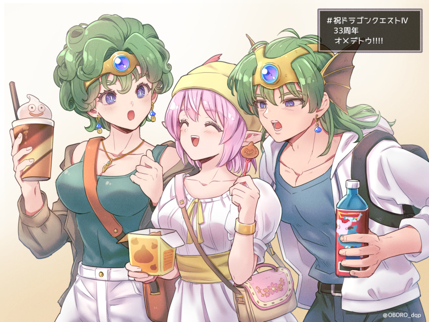 Hero (Dq4) Rule 34 Image