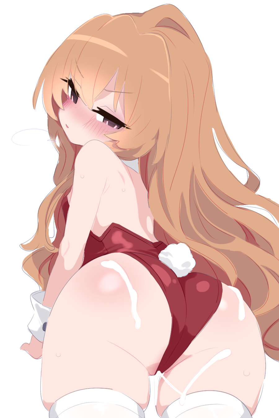 Aisaka Taiga (Toradora!) Rule 34 Image