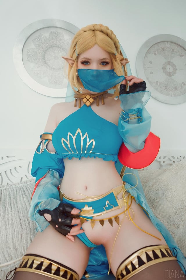 Princess Zelda (Nintendo) Rule 34 Image