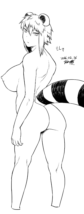 Araiguma-San (Original) Rule 34 Image