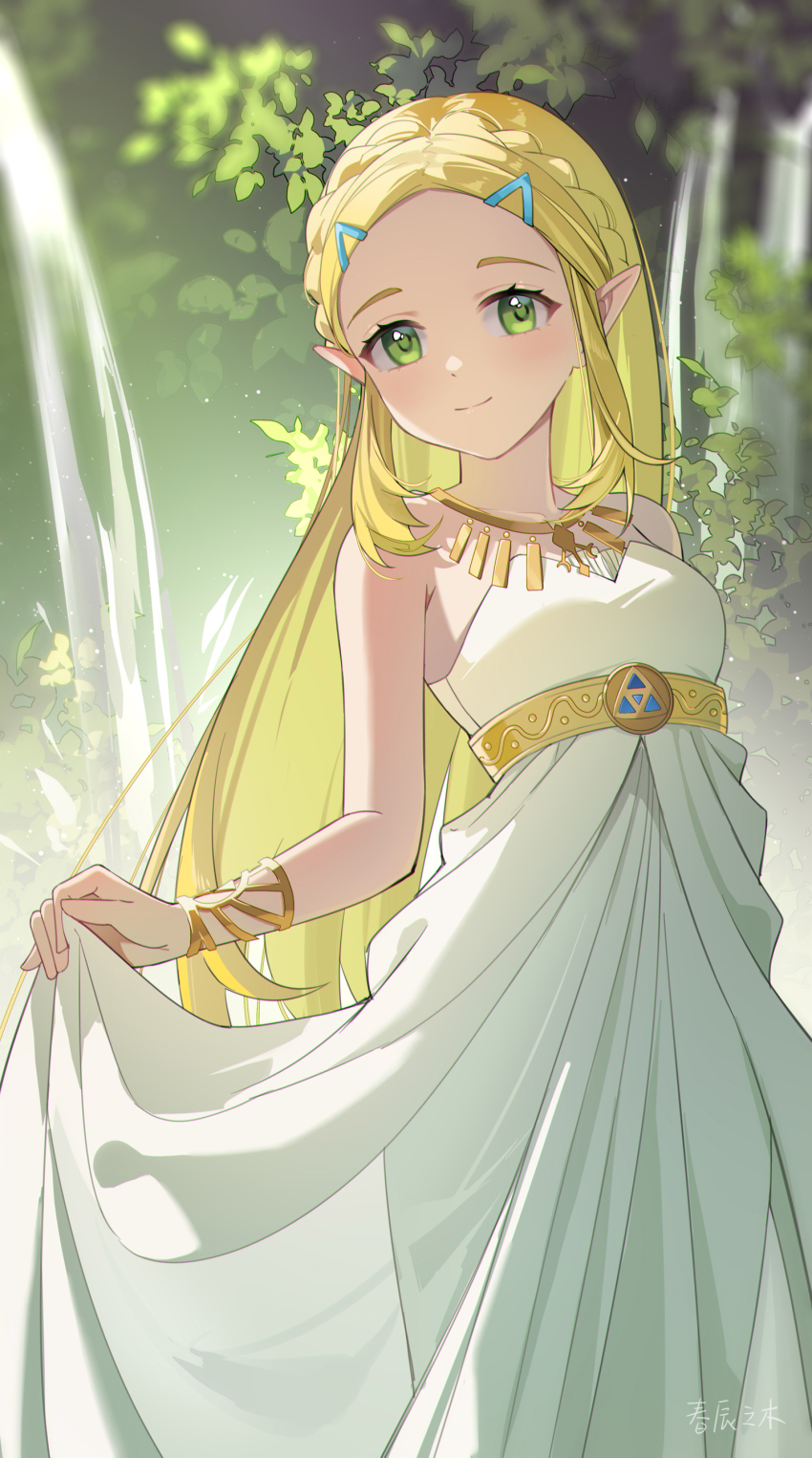 Princess Zelda (Nintendo) Rule 34 Image