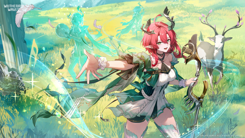 Ciaccona (Wuthering Waves) Rule 34 Image