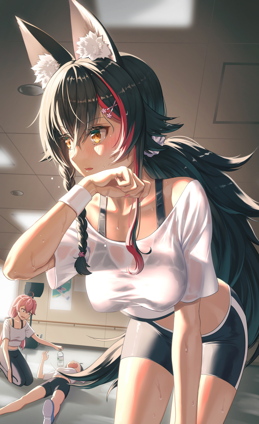 Ookami Mio (Hololive) Rule 34 Image