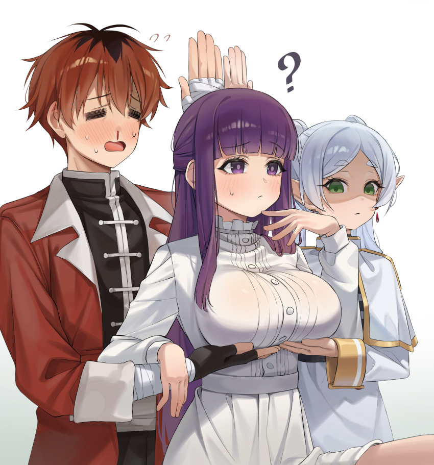 Fern (Sousou No Frieren) Rule 34 Image
