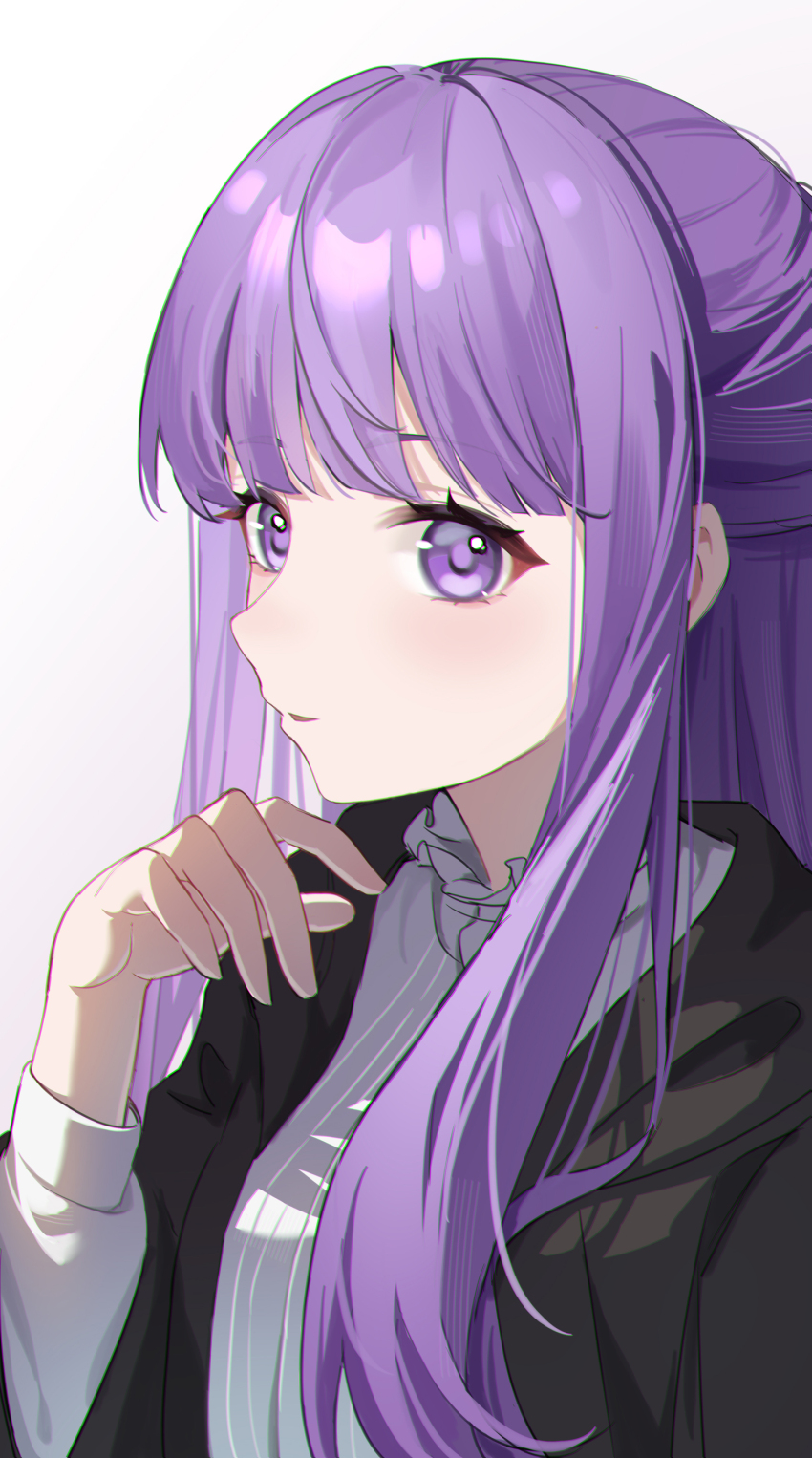 Fern (Sousou No Frieren) Rule 34 Image