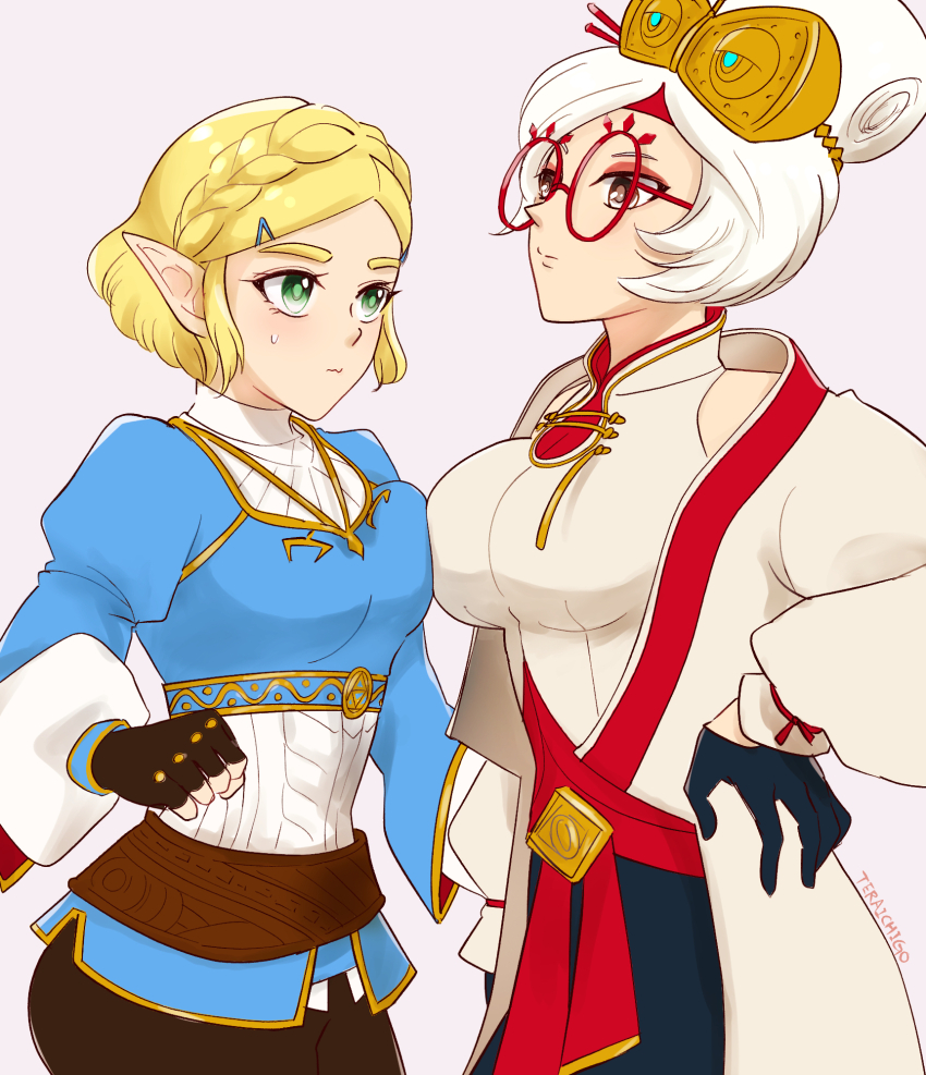 Princess Zelda (Nintendo) Rule 34 Image