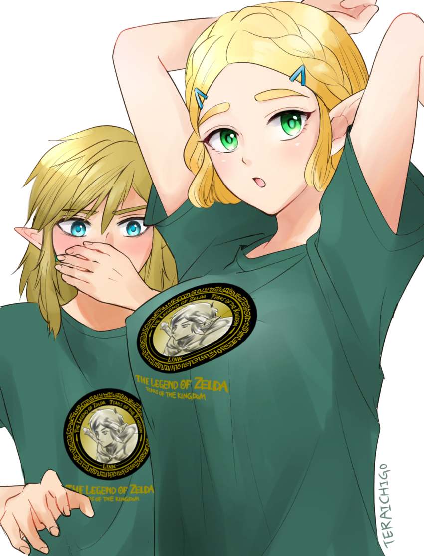 Link (Nintendo) Rule 34 Image