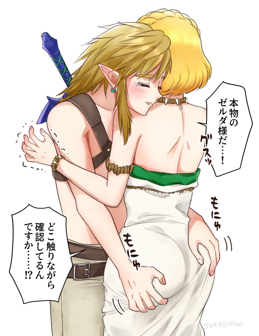 Link (Nintendo) Rule 34 Image
