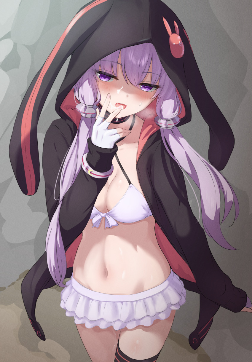 Yuzuki Yukari (Vocaloid) Rule 34 Image