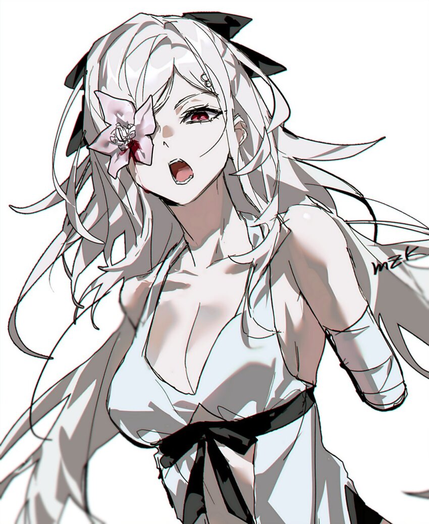 Zero (Drag-On Dragoon) Rule 34 Image