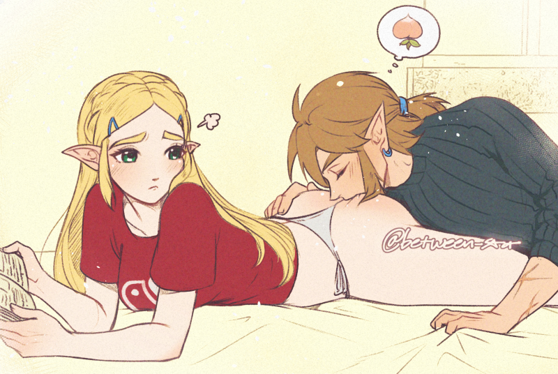 Link (Nintendo) Rule 34 Image
