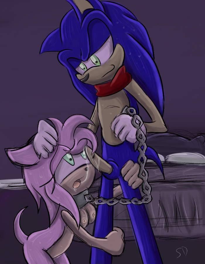 Amy Rose (Sonic (Series)) Rule 34 Image