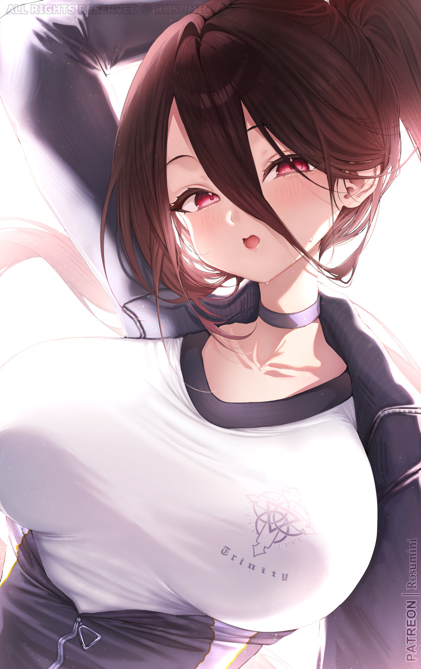 Hasumi (Blue Archive) Rule 34 Image