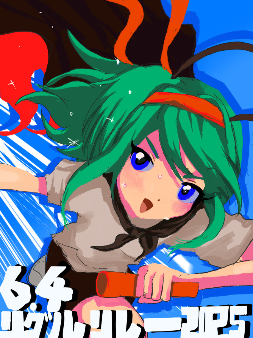 Wriggle Nightbug (Touhou) Rule 34 Image