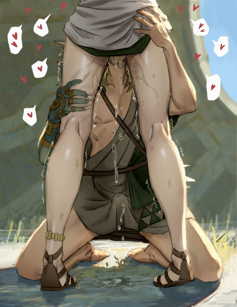 Link (Breath Of The Wild) Rule 34 Image