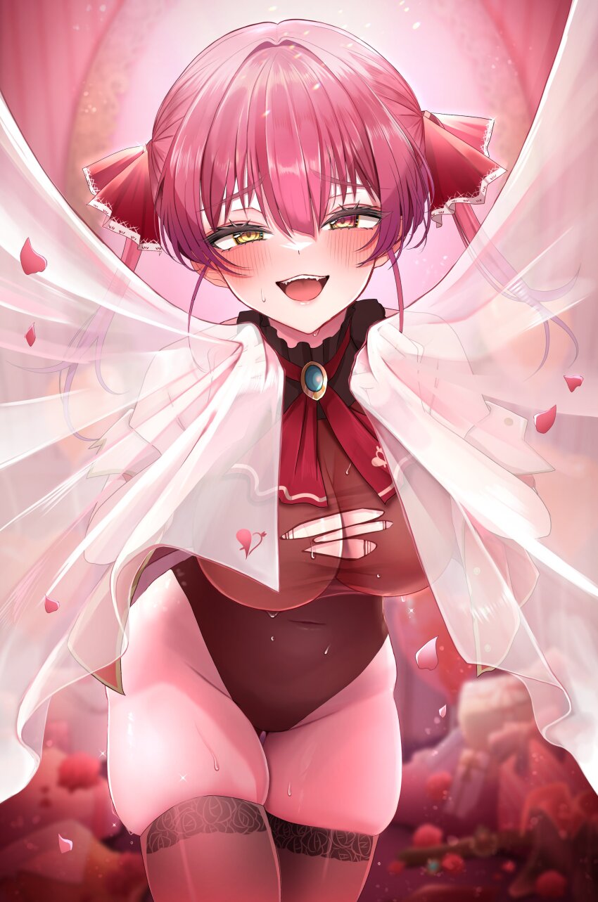Houshou Marine (Hololive) Rule 34 Image