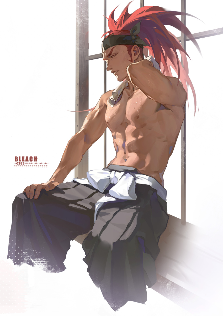 Abarai Renji (Bleach) Rule 34 Image