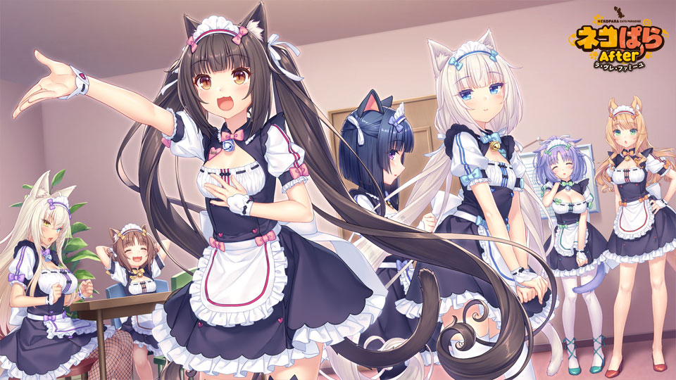 Chocola (Nekopara) Rule 34 Image