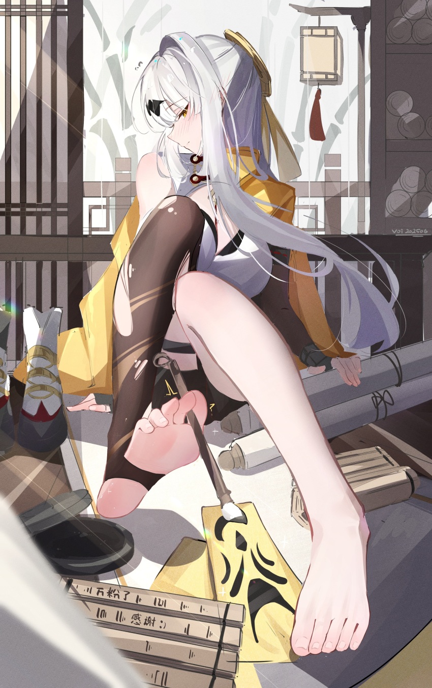Yixuan (Zenless Zone Zero) Rule 34 Image