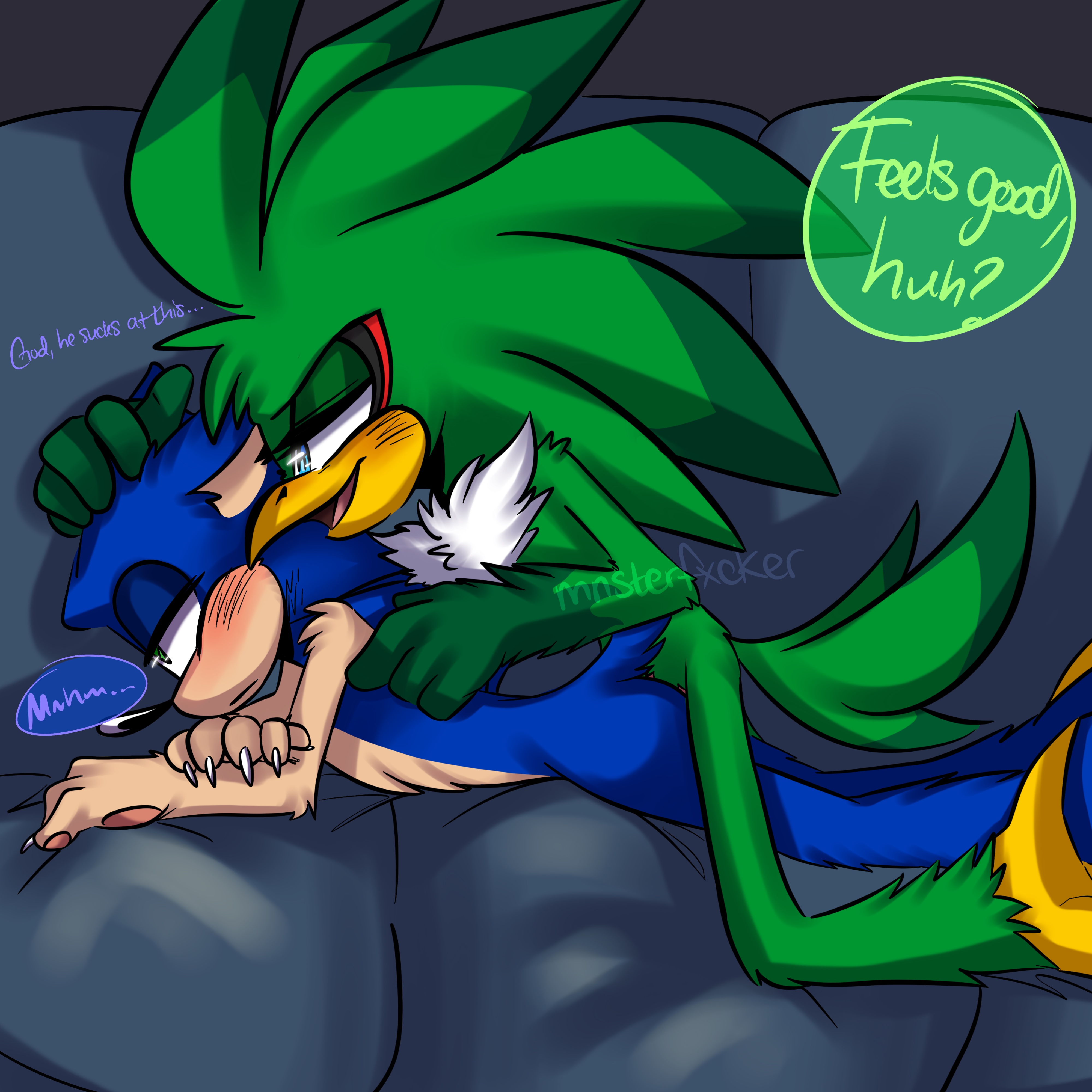 Jet The Hawk (Sonic (Series)) Rule 34 Image