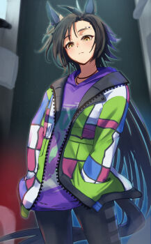 Air Shakur (Casual) (Umamusume) Rule 34 Image