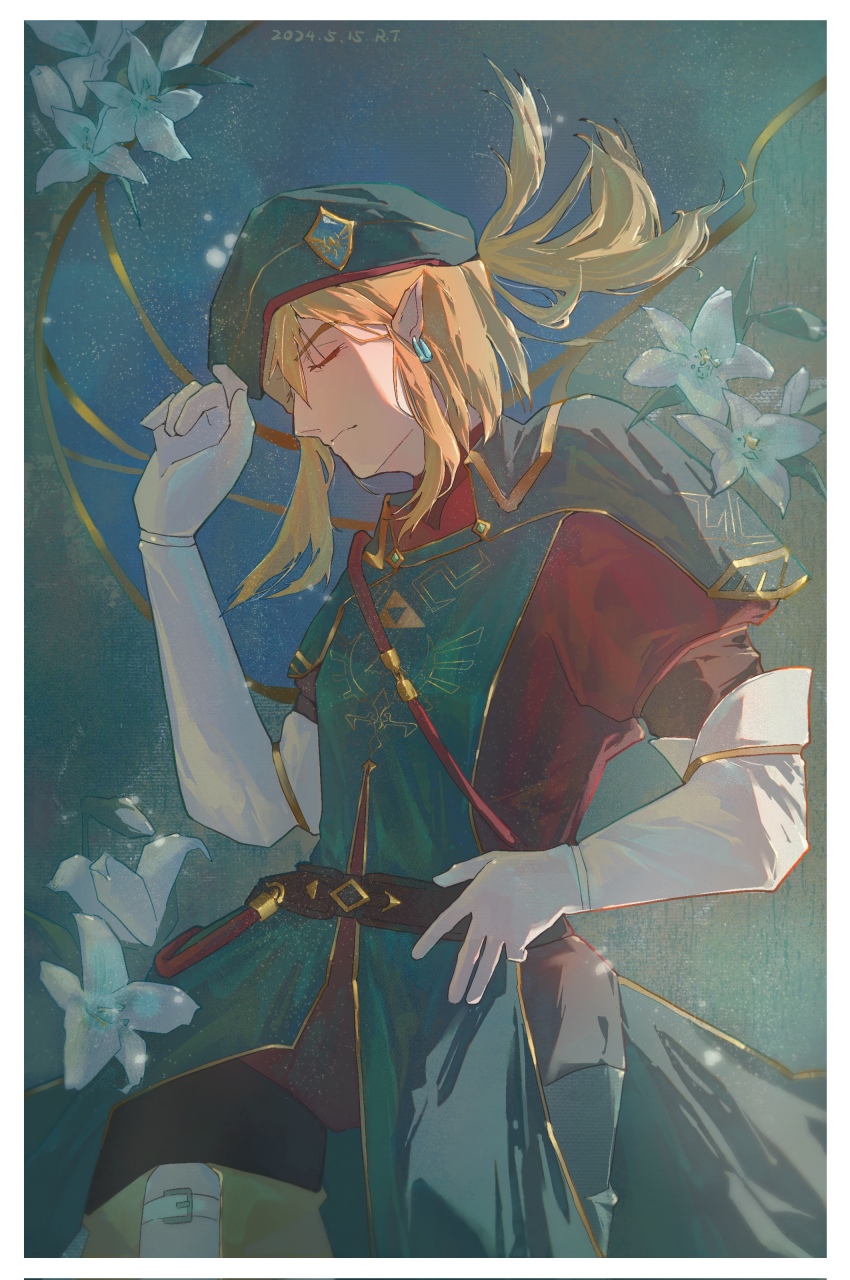 Link (Nintendo) Rule 34 Image
