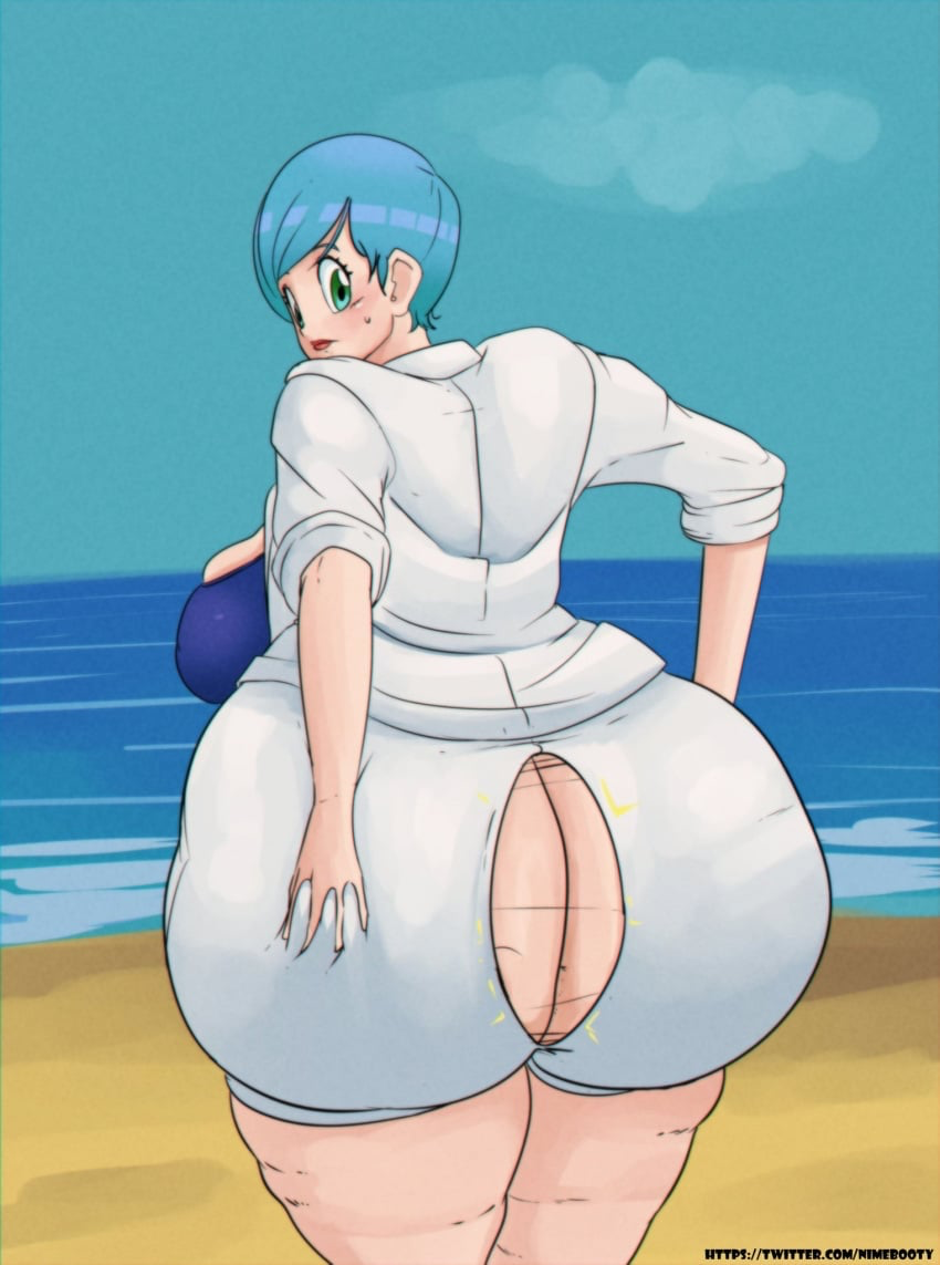 Bulma Briefs (Beginnings Of Dragon Ball Z) Rule 34 Image